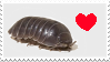 i love rolly pollies